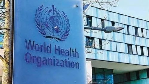 联合国回应美国退出世界卫生组织，全球卫生治理的新挑战与应对