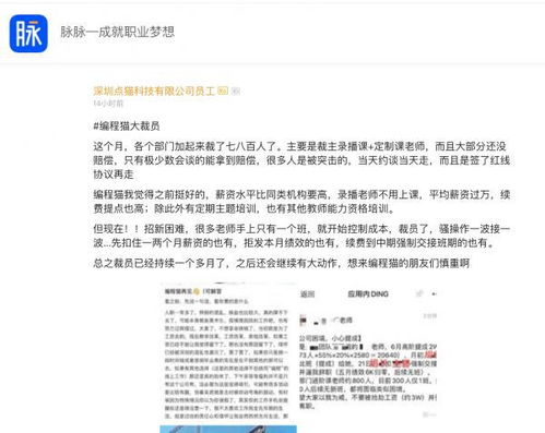 裁员裁到大动脉，刘果果的挑战与抉择（34集连载文章）