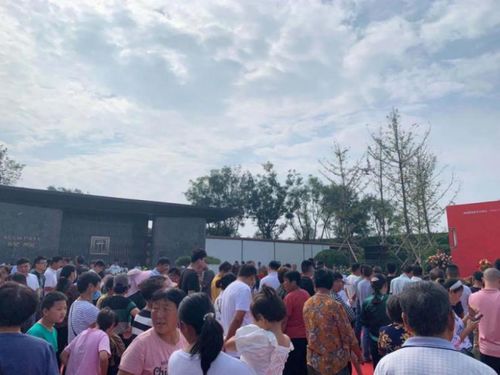龙归故里（69集）