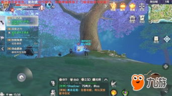 隐神（97集）深度解析，神秘世界的探索之旅