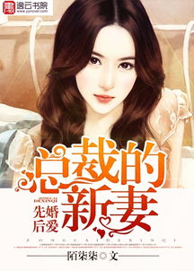 总裁的新妻