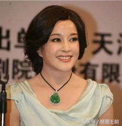 刘晓庆宣布退出一路繁花，深度解读背后的原因