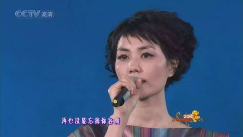 王菲时隔七年重返春晚舞台，特别单曲引期待