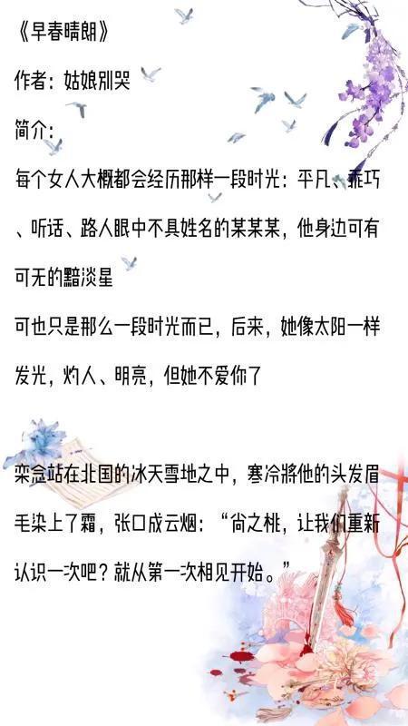 重逢情深（91集）