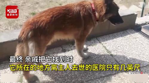 我眼中的三个狼心狗肺的东西（80集深度剖析）