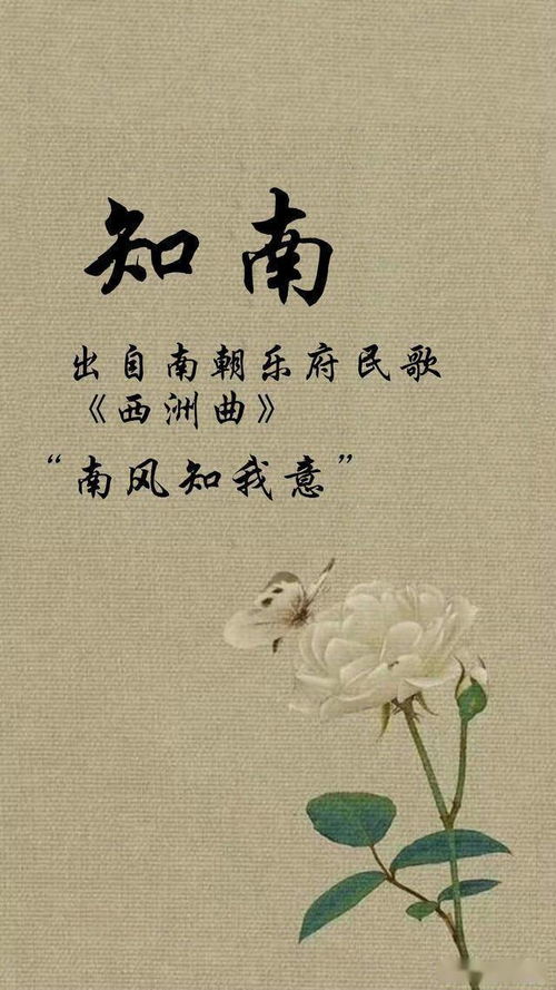 南风知晚意，一部深情厚意的百集故事