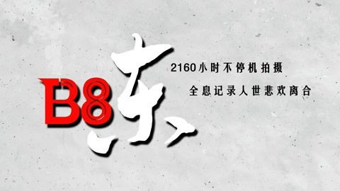 新百家罪状
