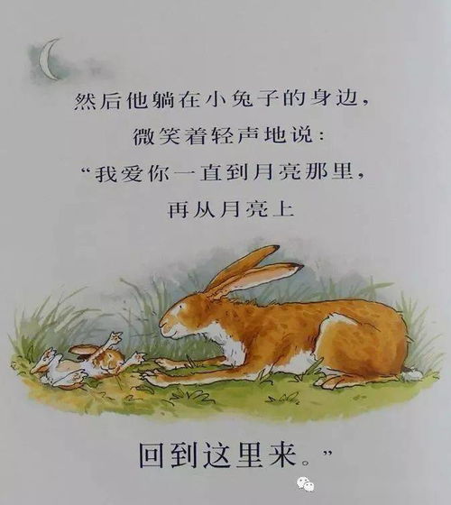 童趣盎然的小兔子喂食记