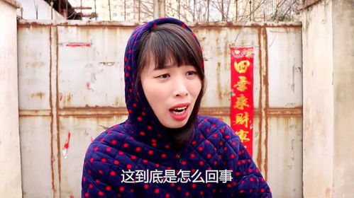我的绝美总裁姐姐（100集）