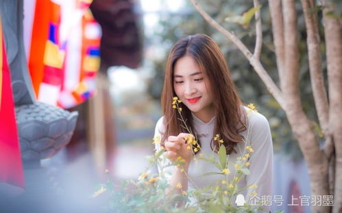 重生后我嫁给前夫宿敌（96集）