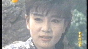 女婿回乡（120集）