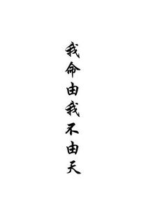 我命由我不由天（101集）深度解读与感悟