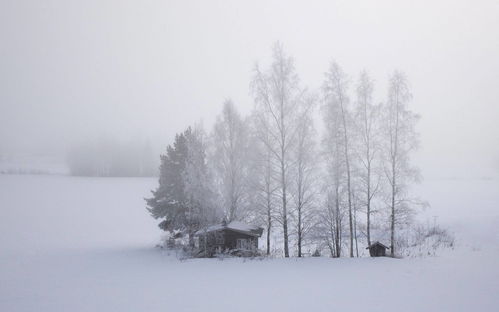 洛阳城内的雪景，醉人心扉的冬日画卷