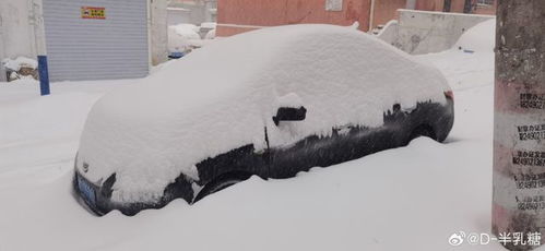 河南局地暴雪，影响与挑战