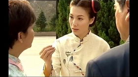 我给总裁老婆当保镖的日子