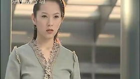人间枝满头（61集）