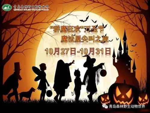 睡不着等你来哄，段美洋的夜话世界（共66集）