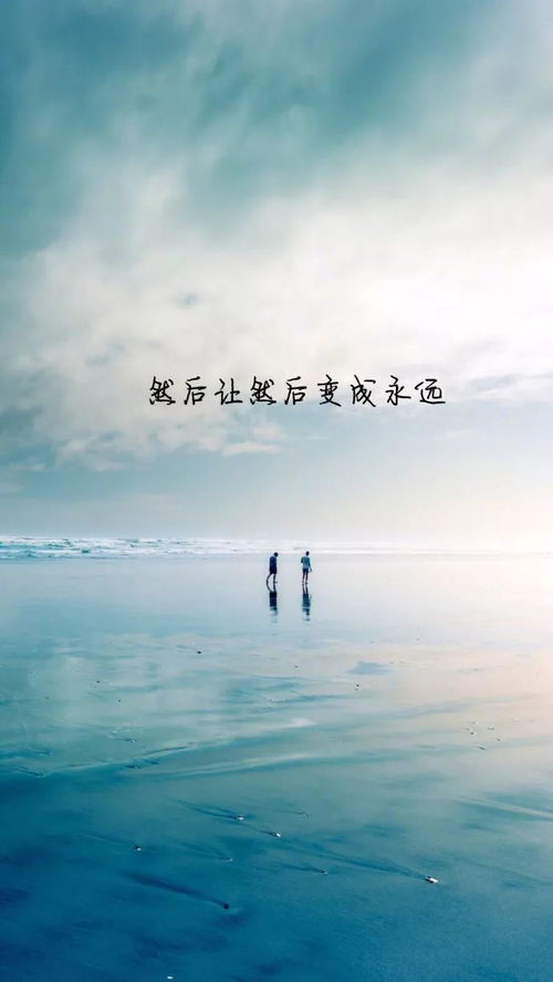 你要等着我（85集）——索菲的执着与等待