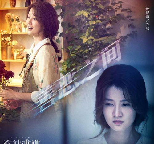 她在现代追驸马，鹿C璐璐的跨时代爱情故事（共100集）