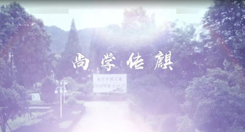 唯爱是图，探索爱的无尽力量与美好境界