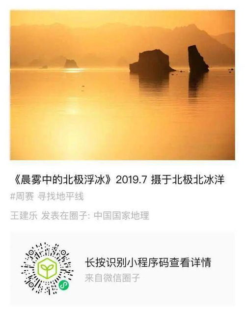 爱的回归线（95集），寻找真正的情感归宿