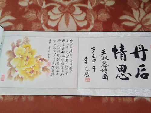 摄政王心头朱砂痣，权力与情感的交织 48集全集深度解析