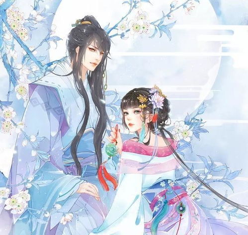 冷宫太子妃，命运交织的长篇小说故事