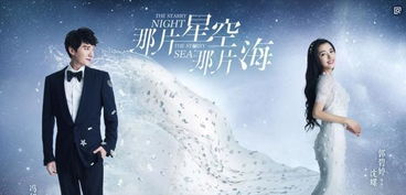 寄思念于晚星，王子怡的星空之旅（70集连续剧剧情概述）