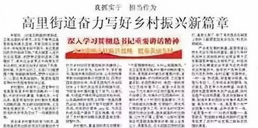 首富回村，乡村振兴的新篇章（101集深度解析）