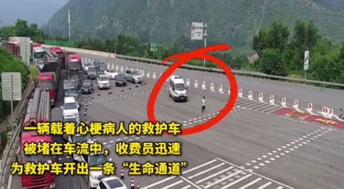 河北高速发生事故，司机选择继续往家开，责任与选择之间的权衡