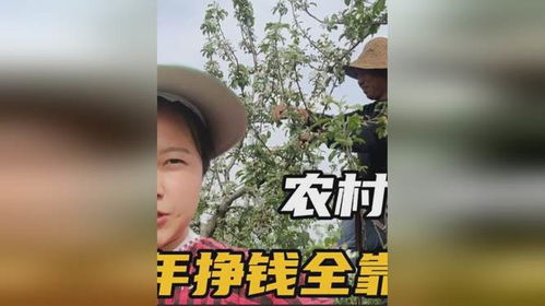 三个大佬哥哥团宠我（89集）彩彩云
