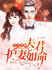 慕总嗜妻如命，深情守护的无尽赞歌