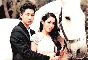 萧少爷的隐婚娇妻，都市隐婚恋曲（96集）