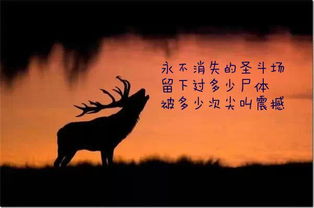 浮生若梦半生缘（94集），命运交织的悲欢离合