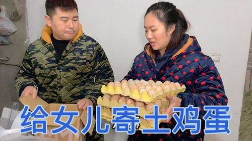 我给女儿送土鸡，女儿为我筹划葬礼（73集故事呈现）