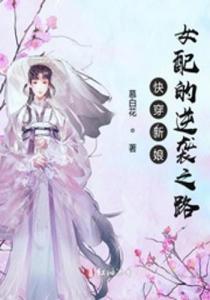 龙婿逆袭，从平凡到辉煌的逆袭之路（70集）