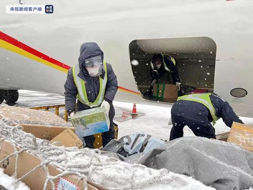 辽宁出现近60年一月最强降雪，影响、应对与反思