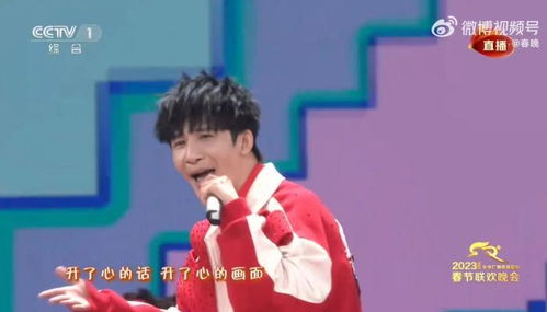 春晚小品花架子，玩转谐音梗的魅力与智慧