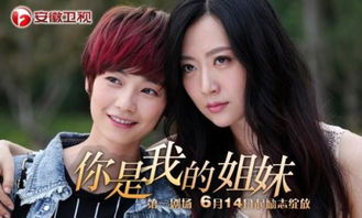 被我弄丢的哑女（70集连续剧剧情概述）