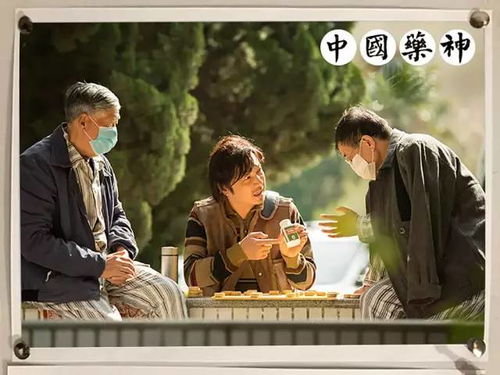 身患绝症后我被逐出家门，逆境中的重生之旅（90集深度解析）