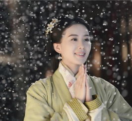 医婿无双，医术与情感的双重传奇