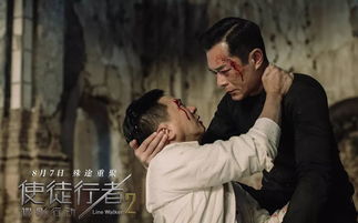 白夜追凶之龙兄虎弟，龙虎之喋血追凶（80集）——孙瑶的悬疑之旅