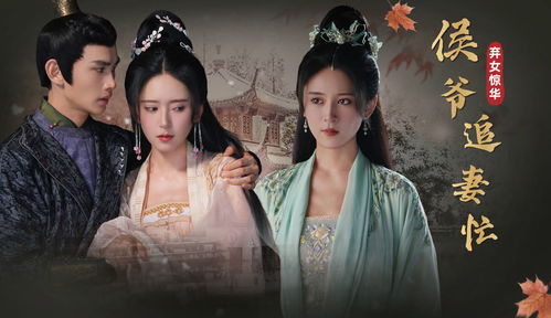 弃妃惊华，侯爷追妻忙（80集）——深度解析与赏析