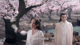 绝世情劫，命运交织的81集爱恨传奇