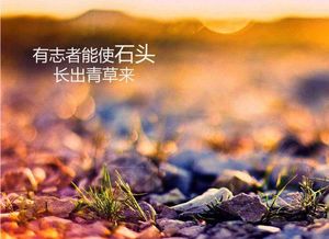 白月光竟是我自己（86集）