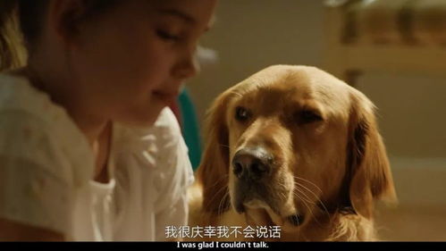 二狗的飞驰人生（第143集）
