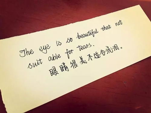 那年刚好遇见你——时光里的缘分交织