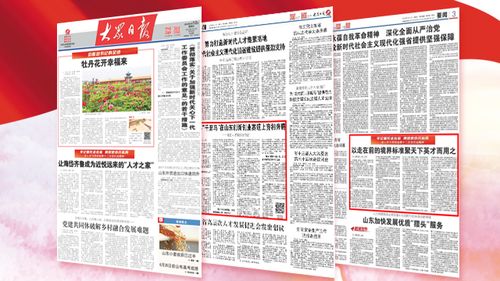 全集，深度解析与探索