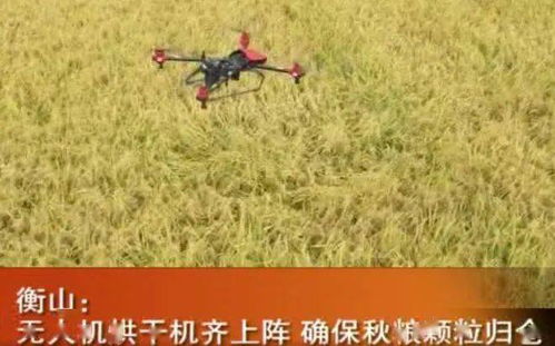 从1997开始收割全世界，重头再来的力量