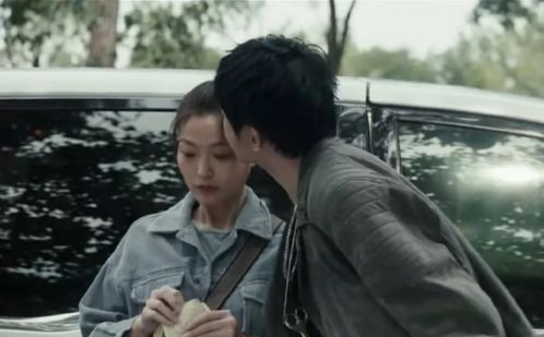 奈何少帅招惹我，一场命运的纠缠（100集剧情解析）